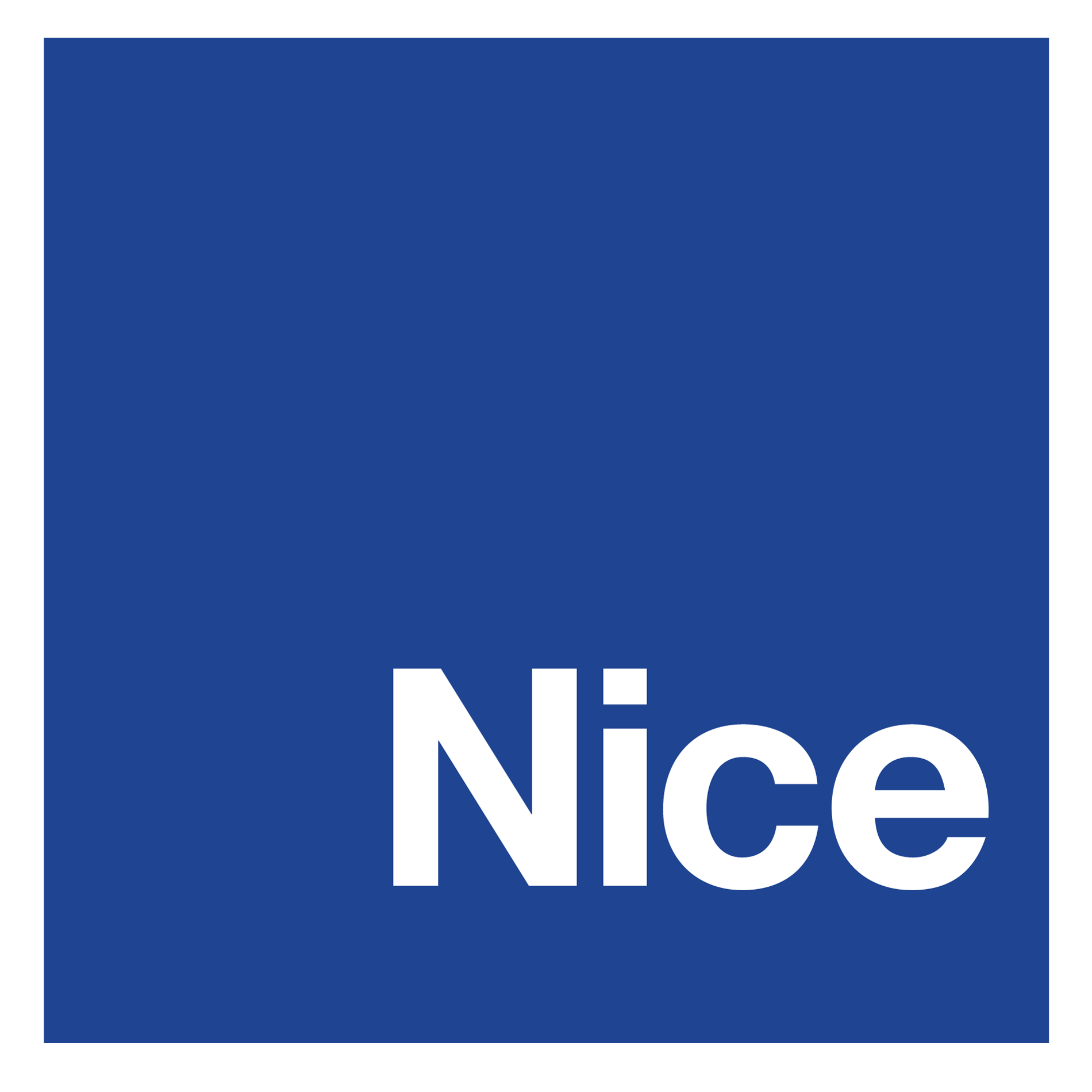 Nice Logo