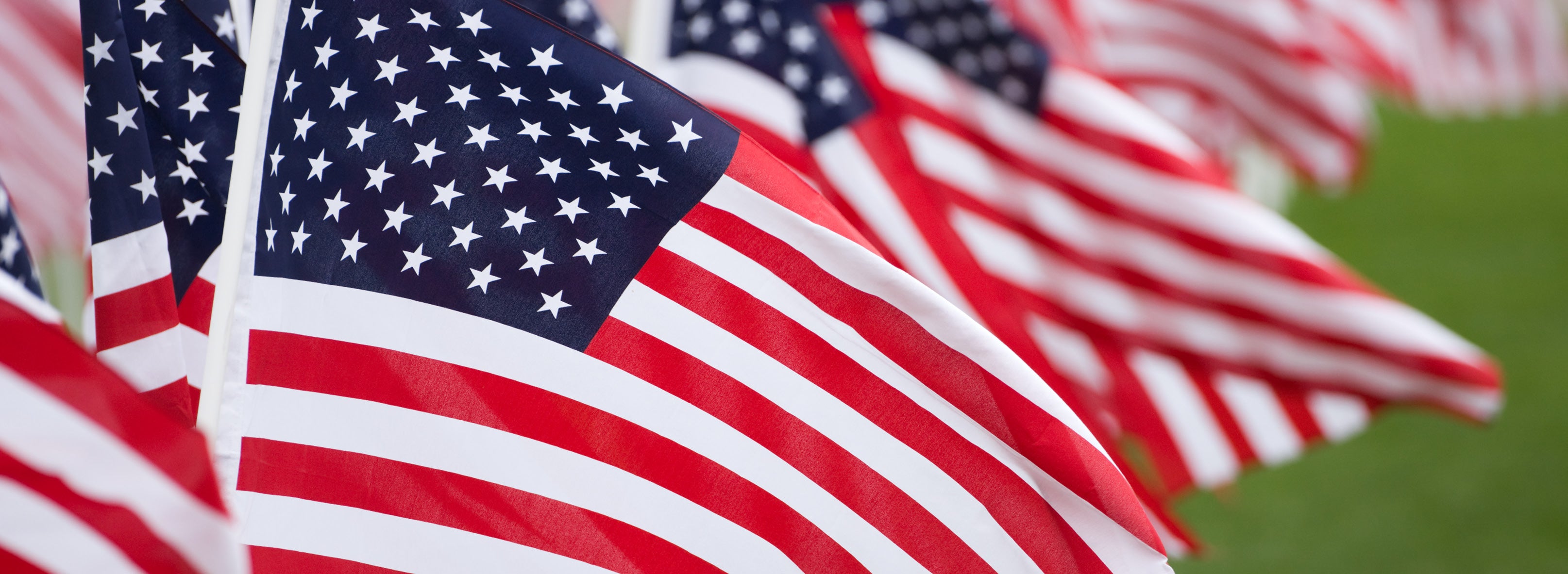 Memorial Day Savings 2025 - Remember and Honor