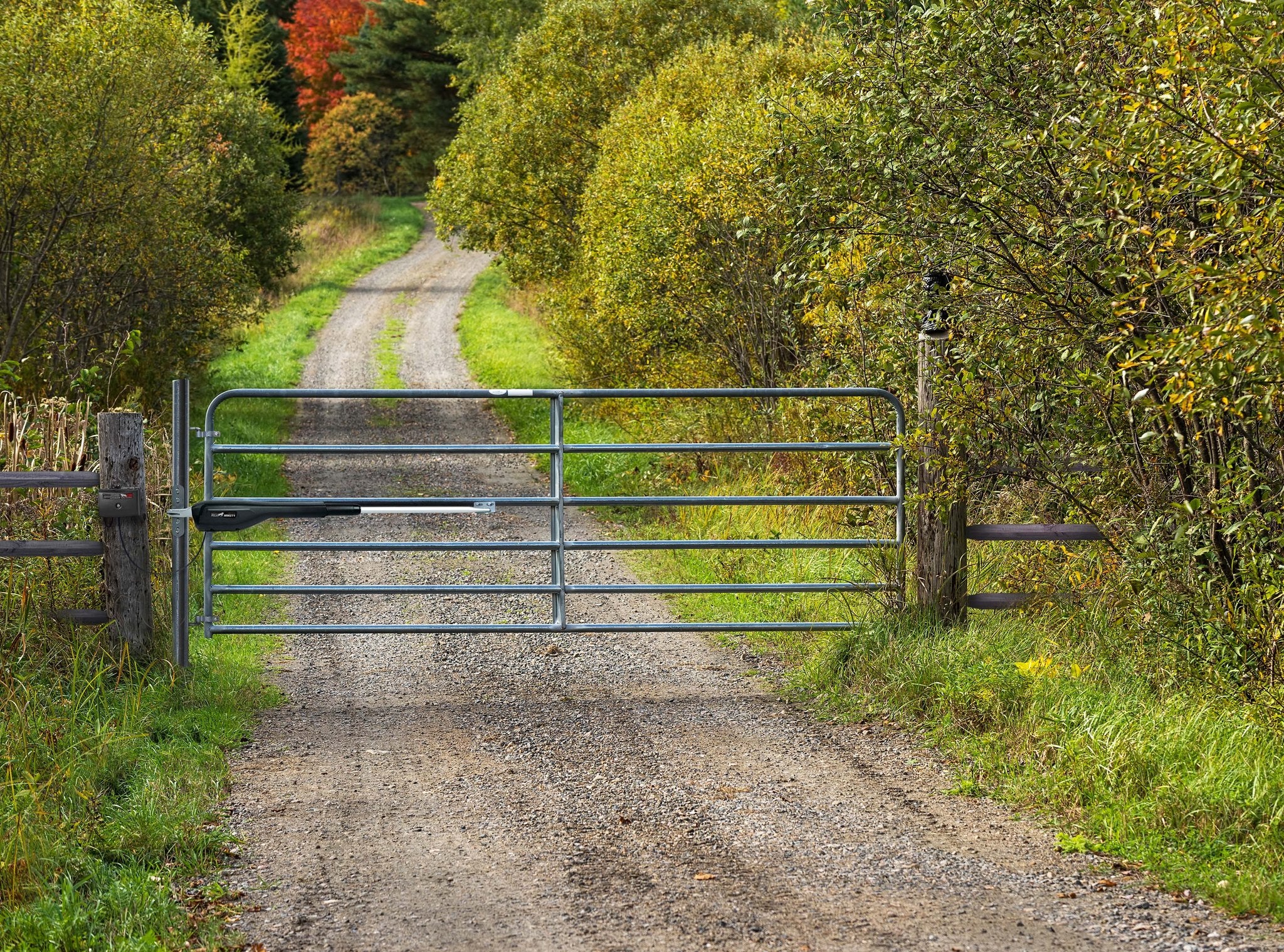 Take our Mighty Mule Gate Opener recommendation quiz.